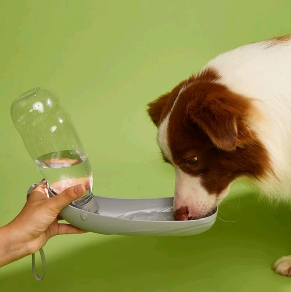 🎉3 for 5$ Dog Portable Water Dispenser - Picture 1 of 3